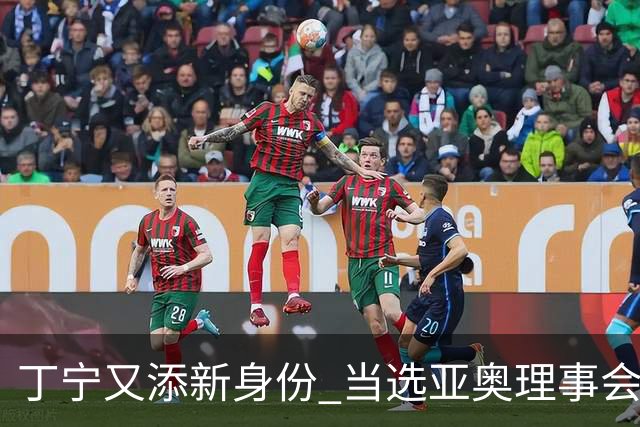 丁宁又添新身份 当选亚奥理事会运动员委员会主席
