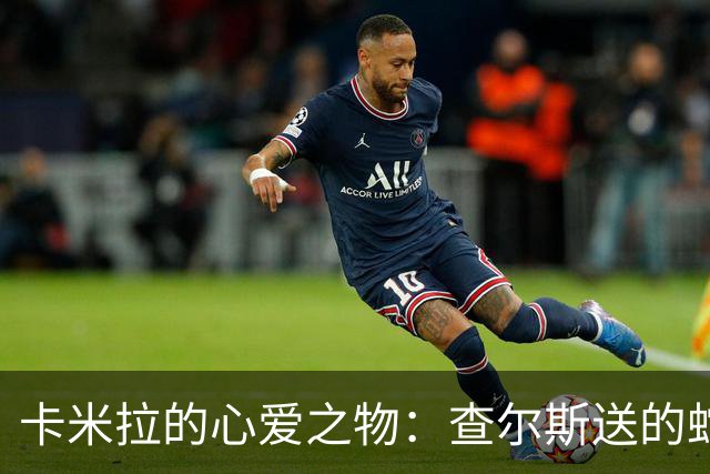 卡米拉的心爱之物：查尔斯送的蛇形项链，戴了20多年和她绝配