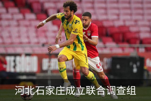 河北石家庄成立联合调查组