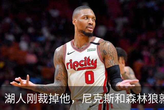湖人刚裁掉他，尼克斯和森林狼就盯上了