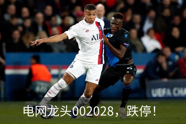 电网龙头002028，跌停！