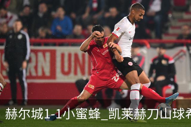 赫尔城1-1小蜜蜂 凯莱赫刀山球希基送点 麦克伯尼点射瓦塔拉扳平