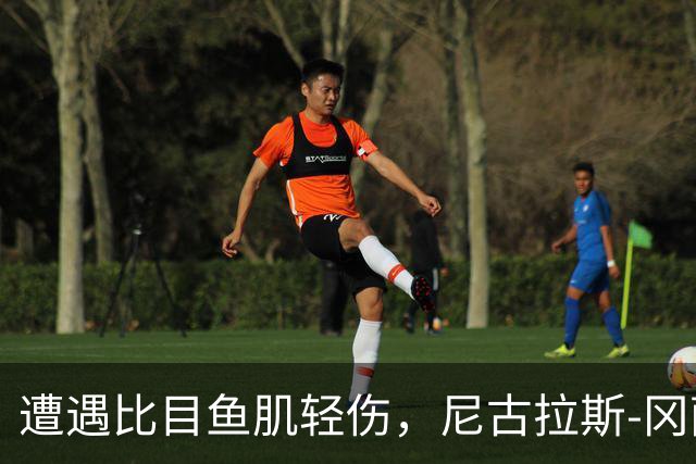 遭遇比目鱼肌轻伤，尼古拉斯-冈萨雷斯社媒表态要强势回归